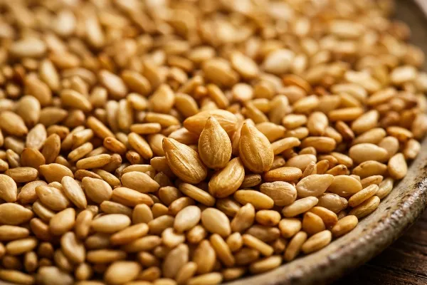 Premium golden sesame seeds, hand-selected for Lebanese Queen tahini